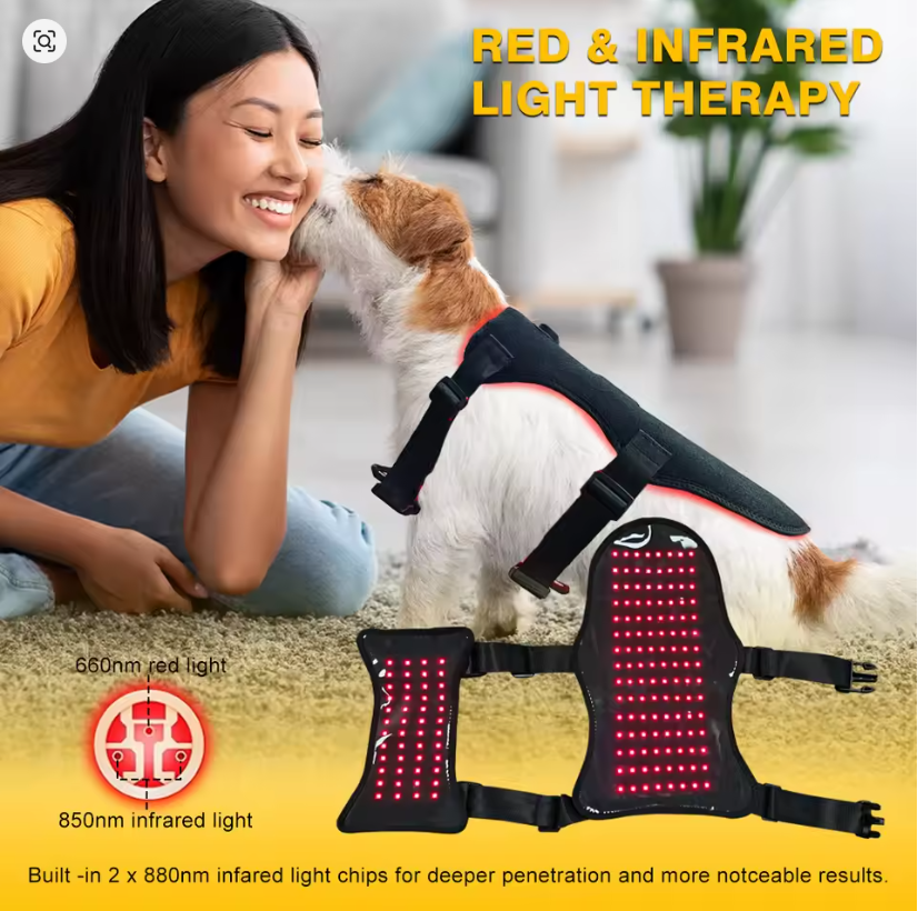 Pet red light therapy